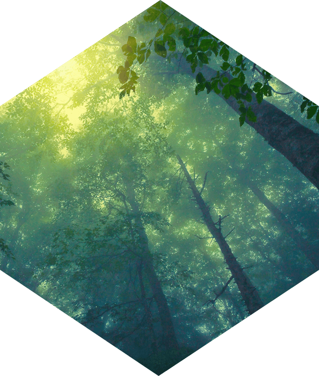 Legacy and succession planning 