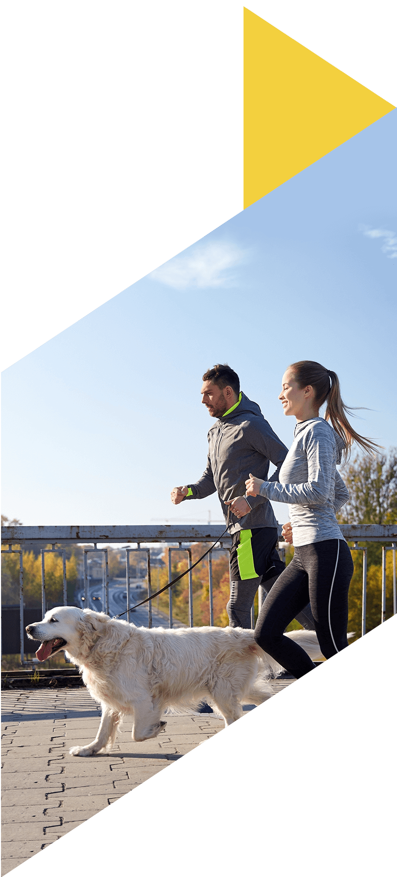 Image showing a couple jogging with their dog