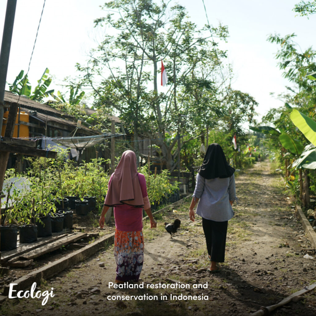 Image showing two ladies in Peatland restoration and conservation in Indonesia