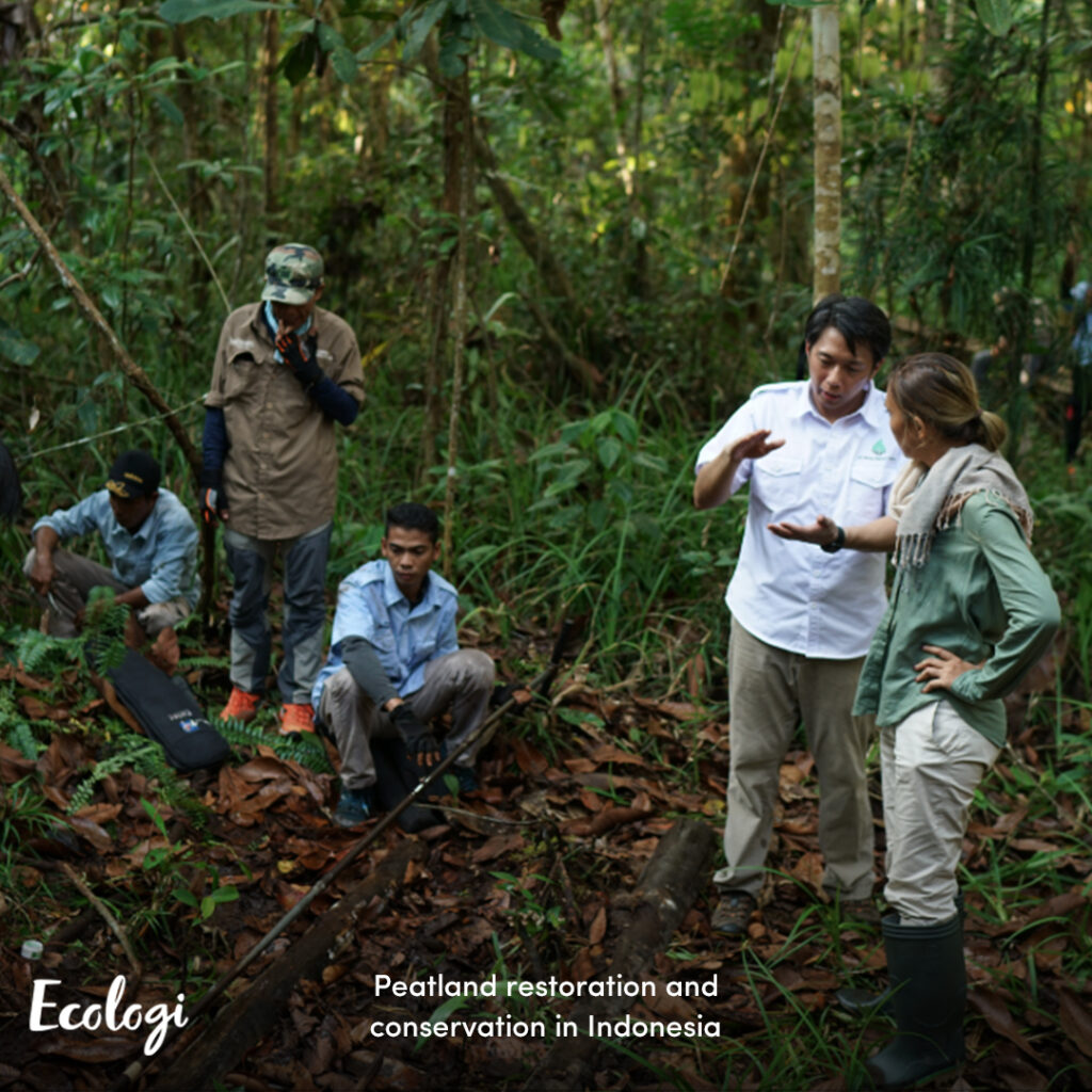 Image showing a group of people in Peatland restoration and conservation in Indonesia