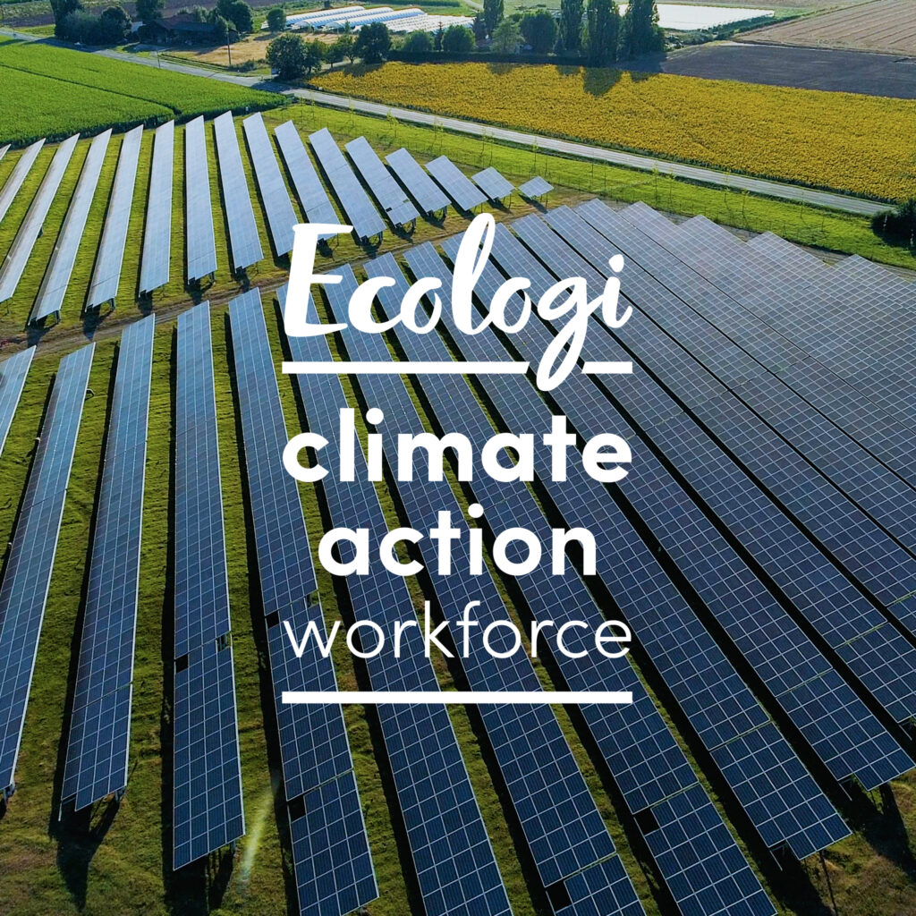 Image showing a field with solar panels and the message Ecologi climate action workforce