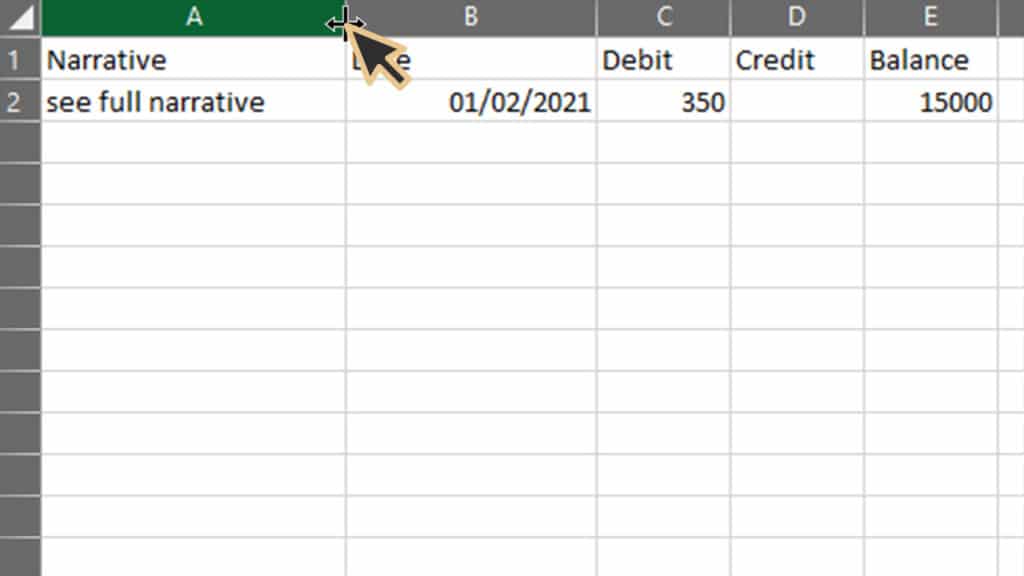 A print screen from the CSV explaining that you need to change the width of the column