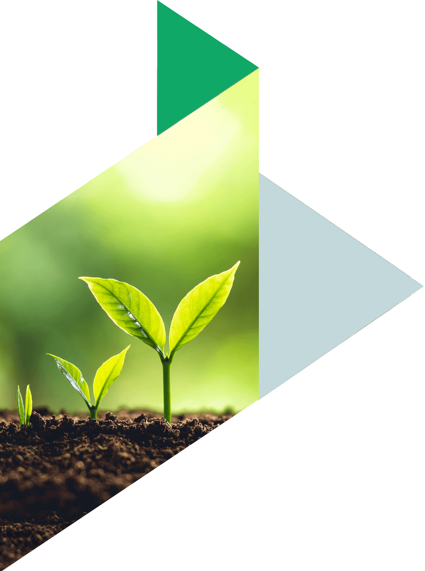 How we are positioning our portfolios for long-term growth
