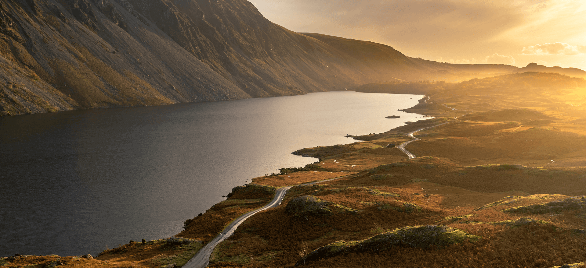 Biodiversity: the environmental and economic impact