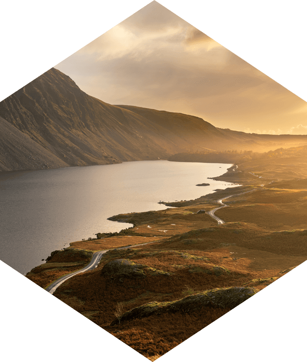 Biodiversity: the environmental and economic impact