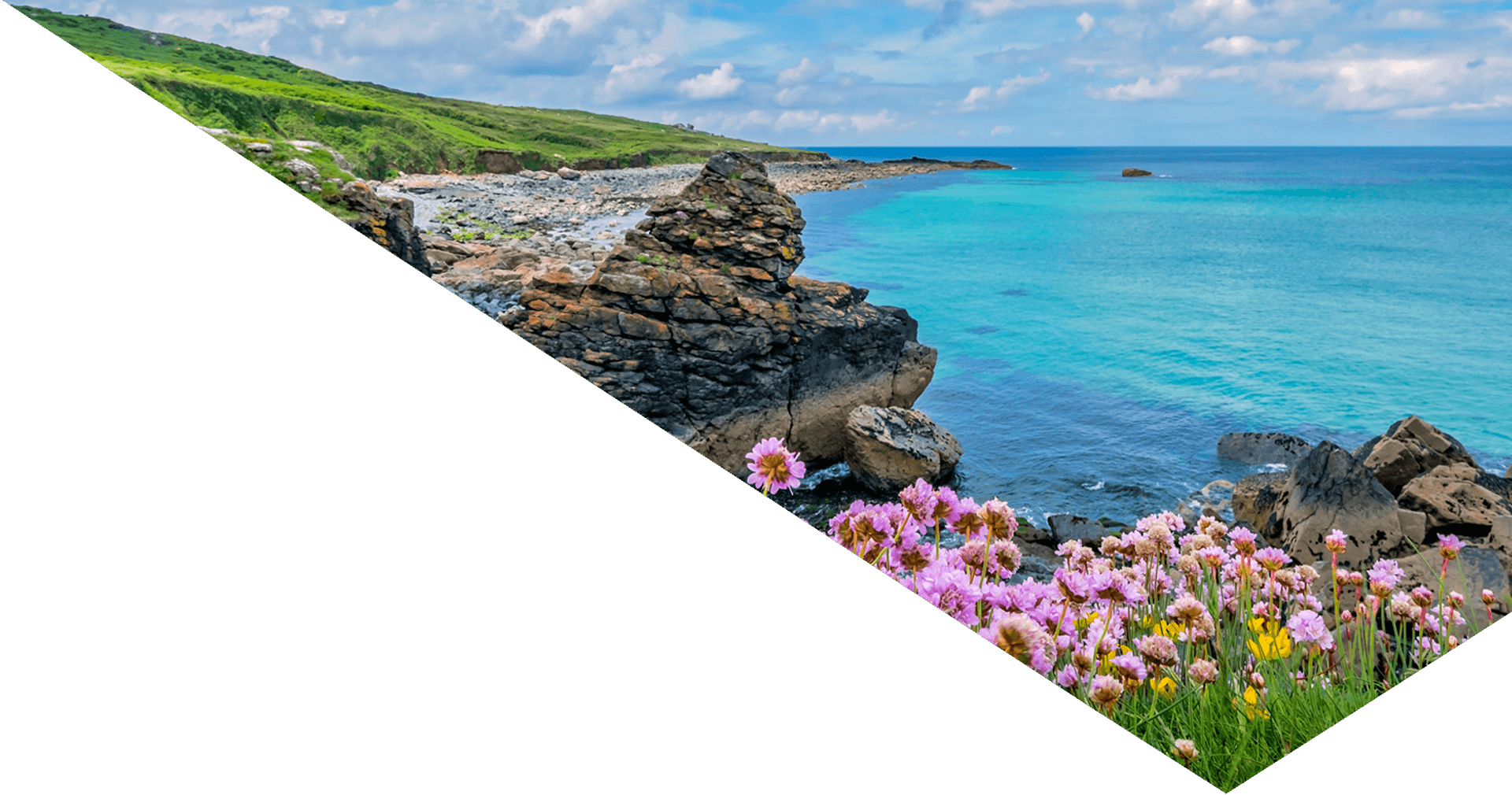 giving-clients-breathing-room-to-plan-their-next-move-header-pink-flowers-the-coast-ct-ives-cornwall