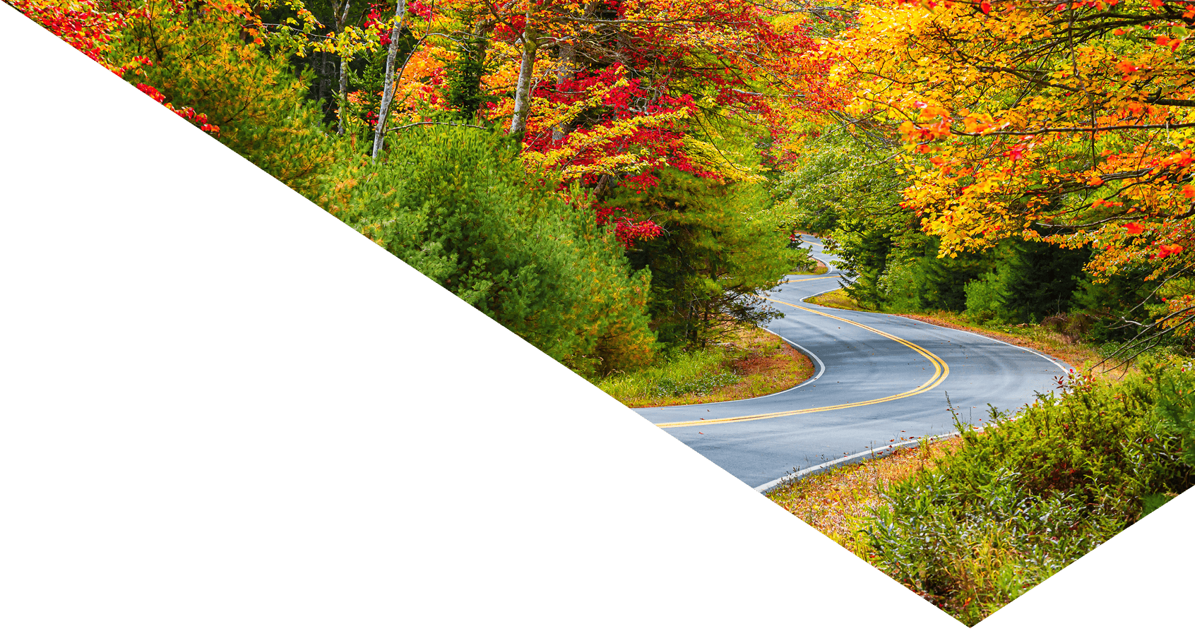 Winding road curves through scenic autumn foliage trees in New England.