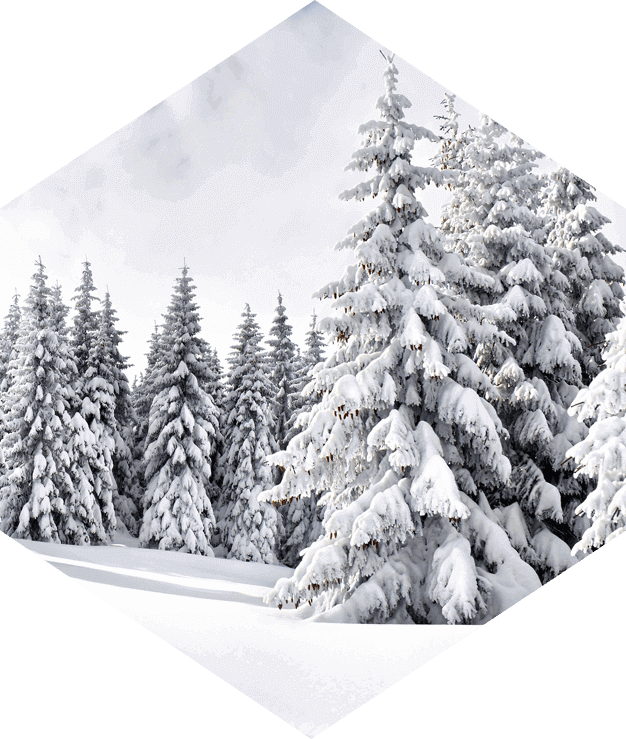 Christmas 2025 and New Year Opening Times