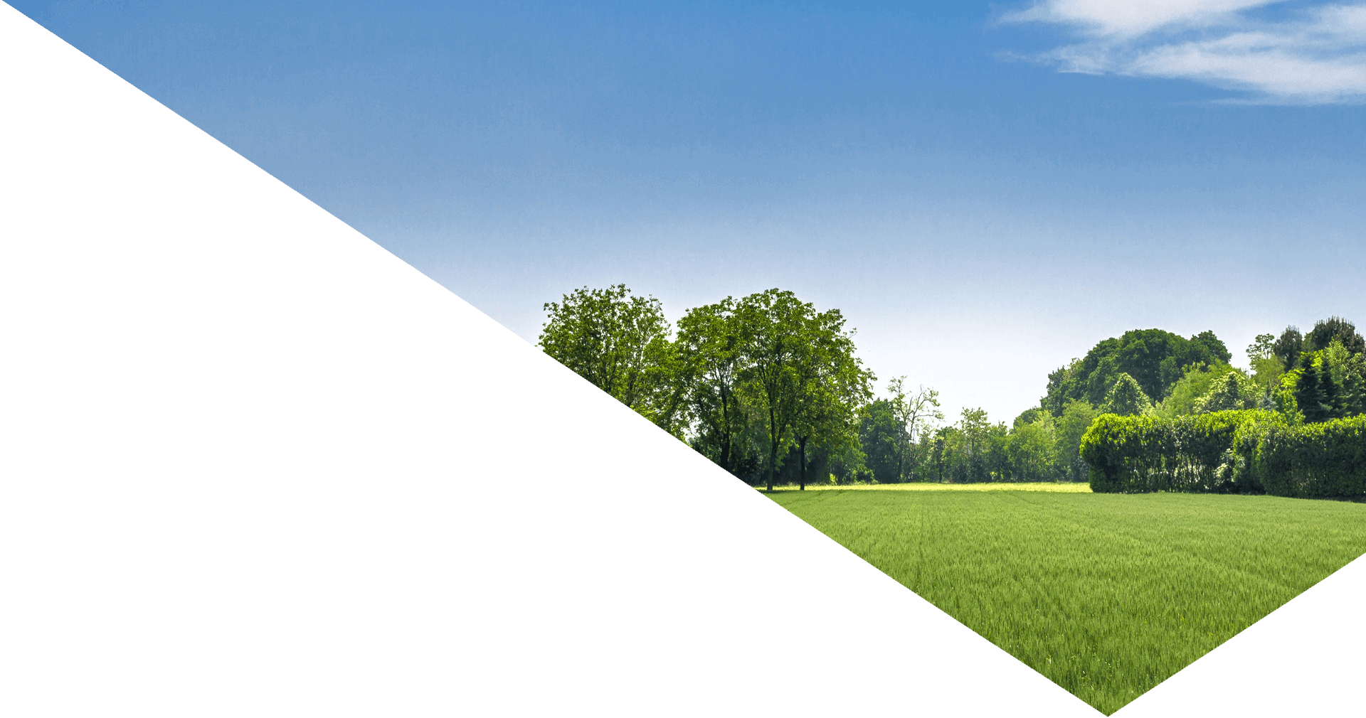 supporting-a-familys-smooth-move-from-the-uk-to-guernsey-header-nature-landscape