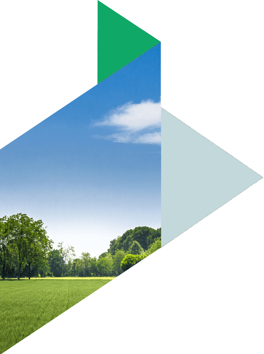 Supporting a family’s smooth move from the UK to Guernsey