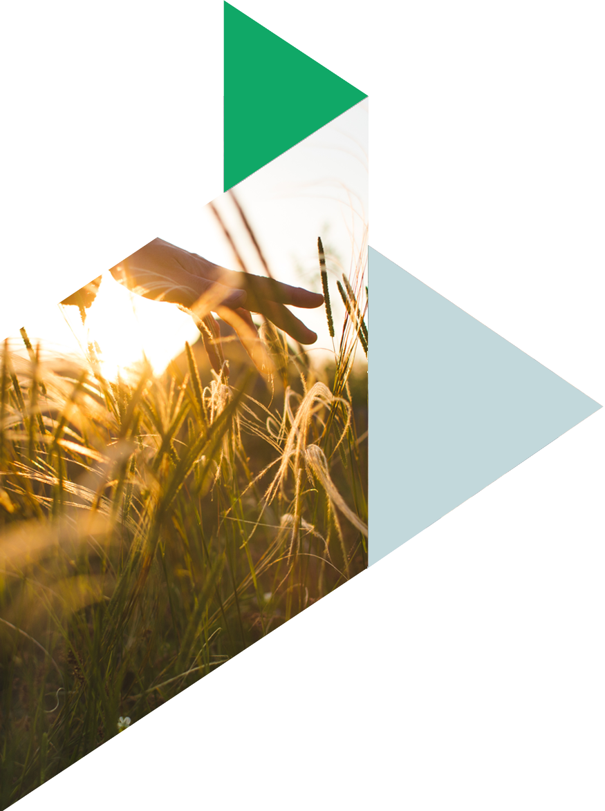 Estate planning when you don’t have conventional heirs