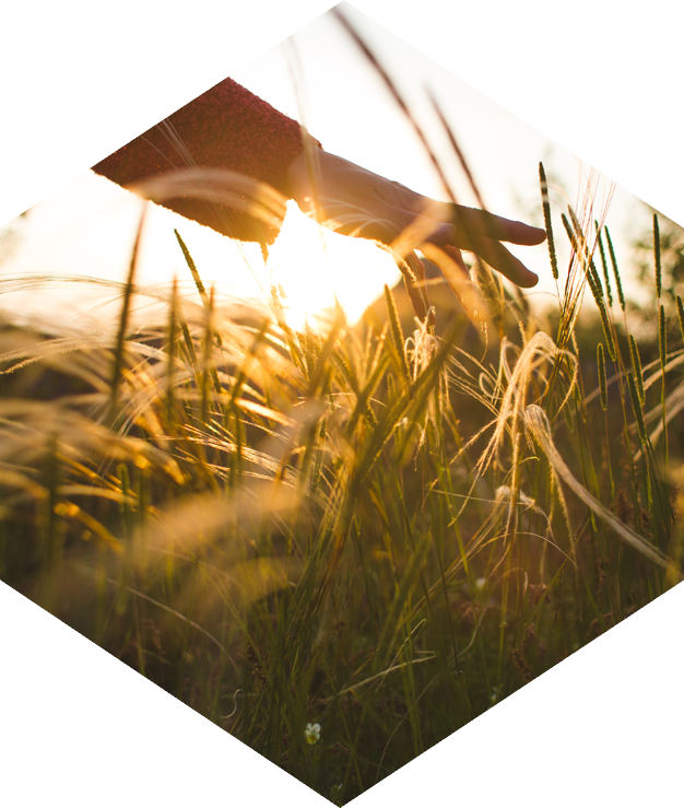 Estate planning when you don’t have conventional heirs