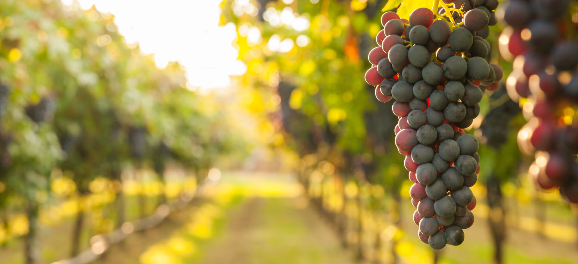 Seize the moment with Lombard loans