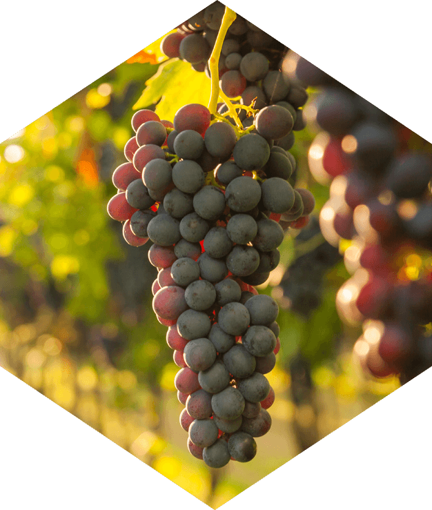 Seize the moment with Lombard loans