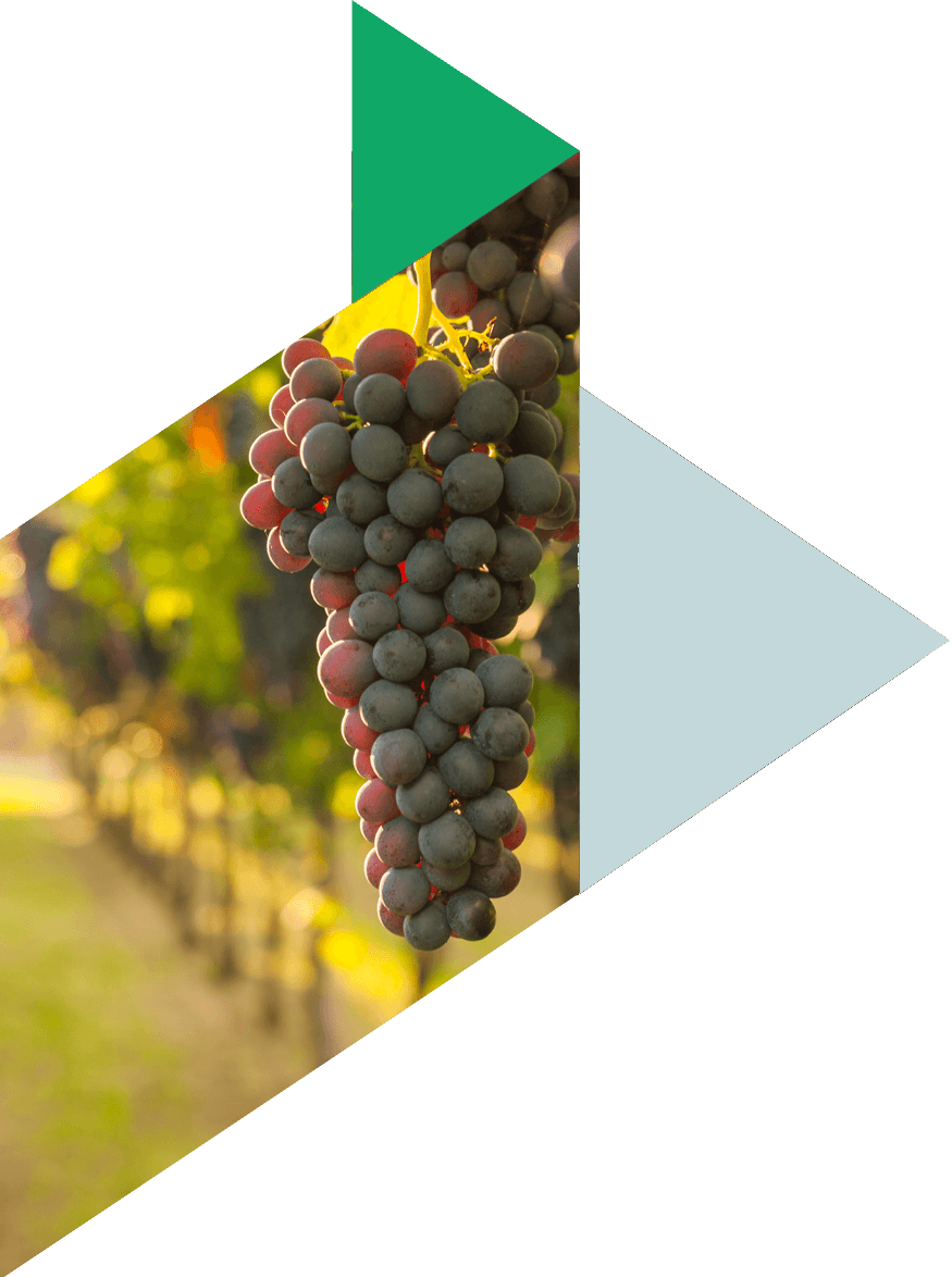 Seize the moment with Lombard loans