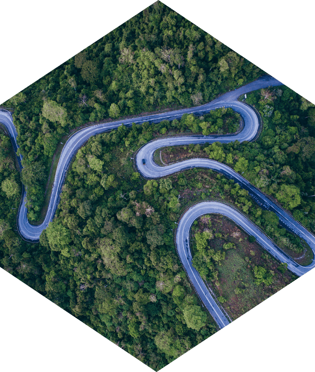 Investment scams: What to look out for and how to stay protected