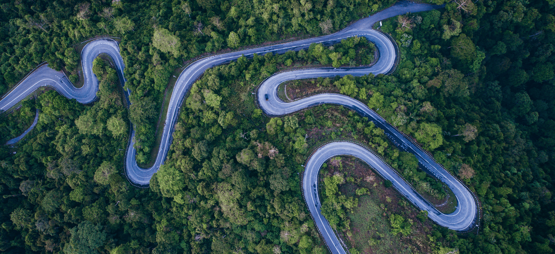 Investment scams: What to look out for and how to stay protected