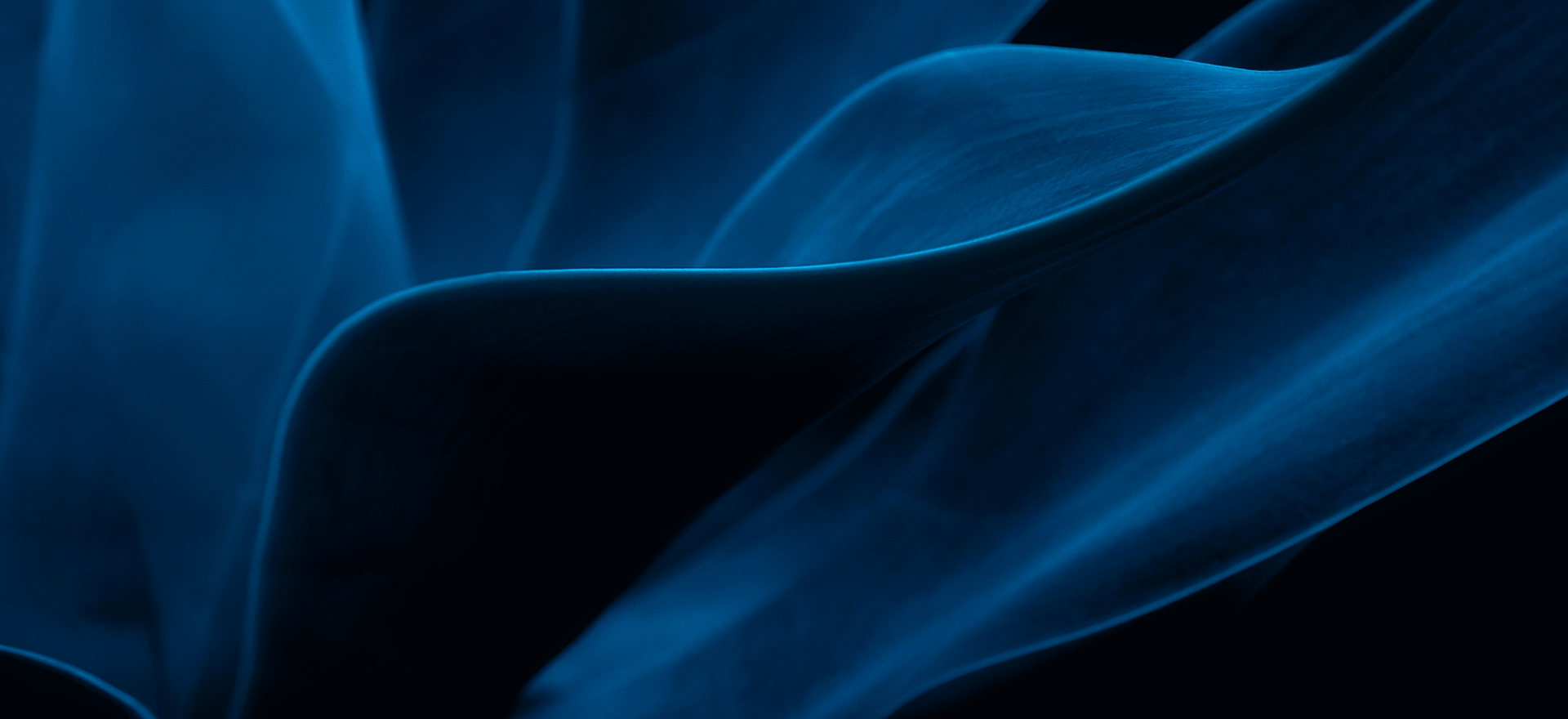 Positioning portfolios for long‑term growth during periods of volatility