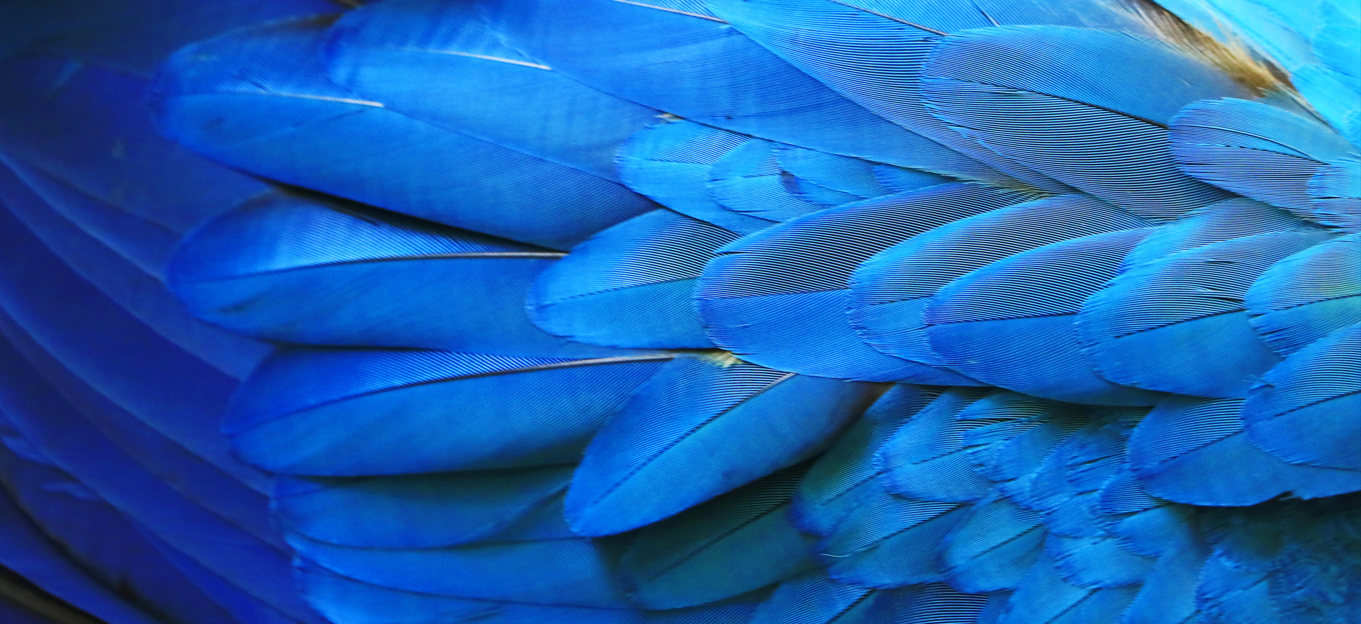 Multi-jurisdictional private banking guidance