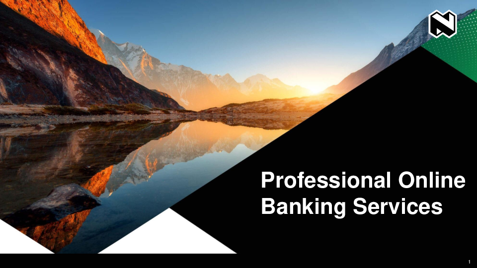 Professional online banking service – User guide