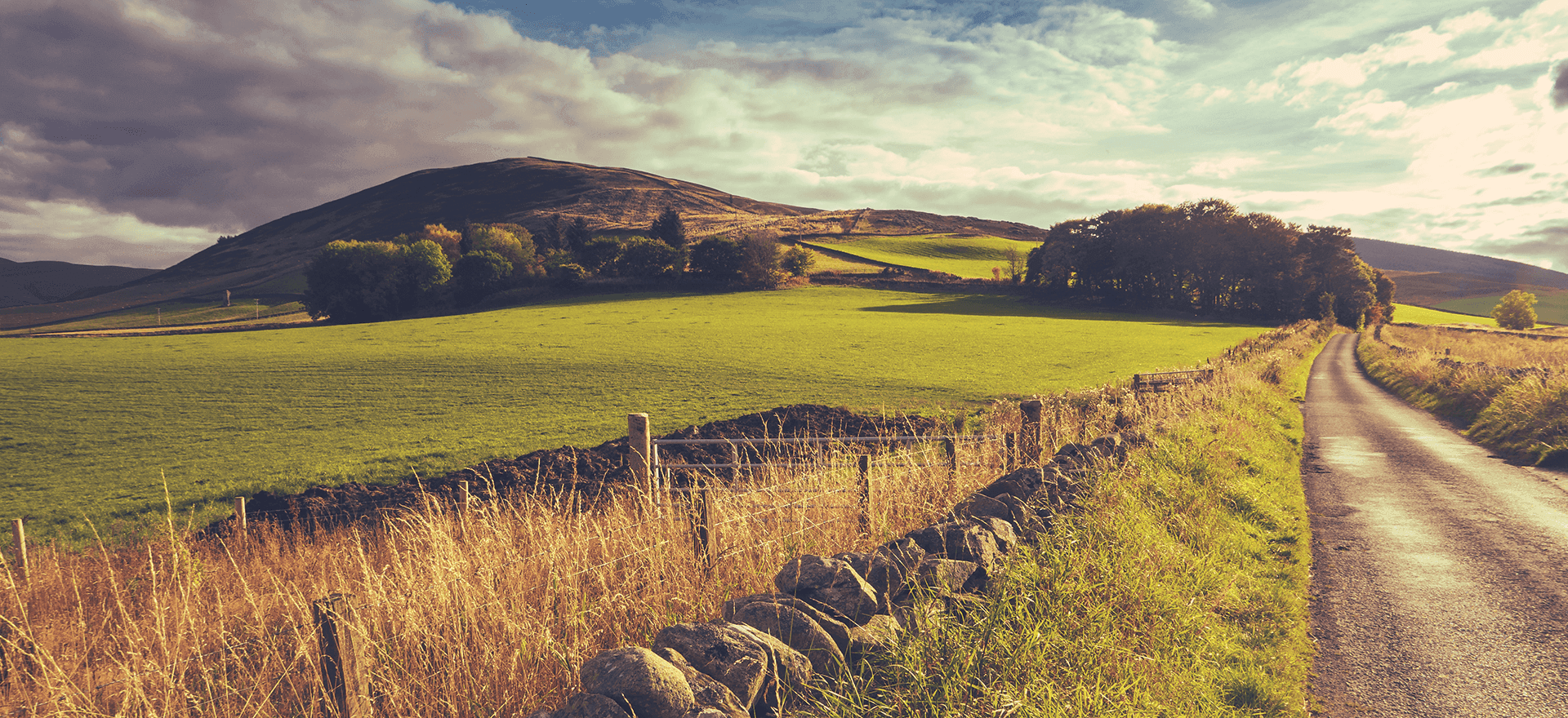 Mortgage Market Update Q2 2026: Markets, rates and demand