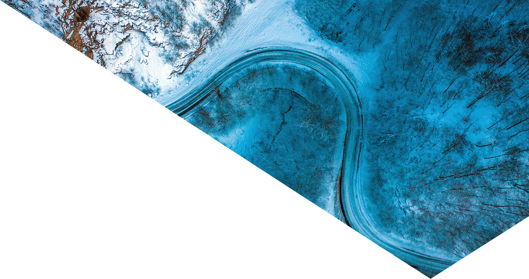 Image showing an aerial view of a snowy forest